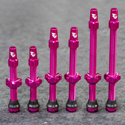Set van 2 Tubeless Ventielen WOLF TOOTH Roze