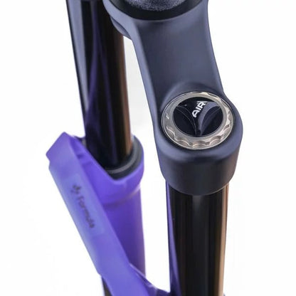 Vork FORMULA SELVA V 29" As 15x110mm Boost Ultraviolet