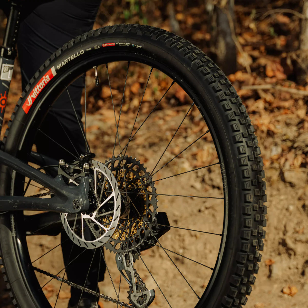 Pneu VITTORIA MARTELLO TRAIL 29x2.40 4C Graphene 2.0 Tubeless Ready Souple Beige