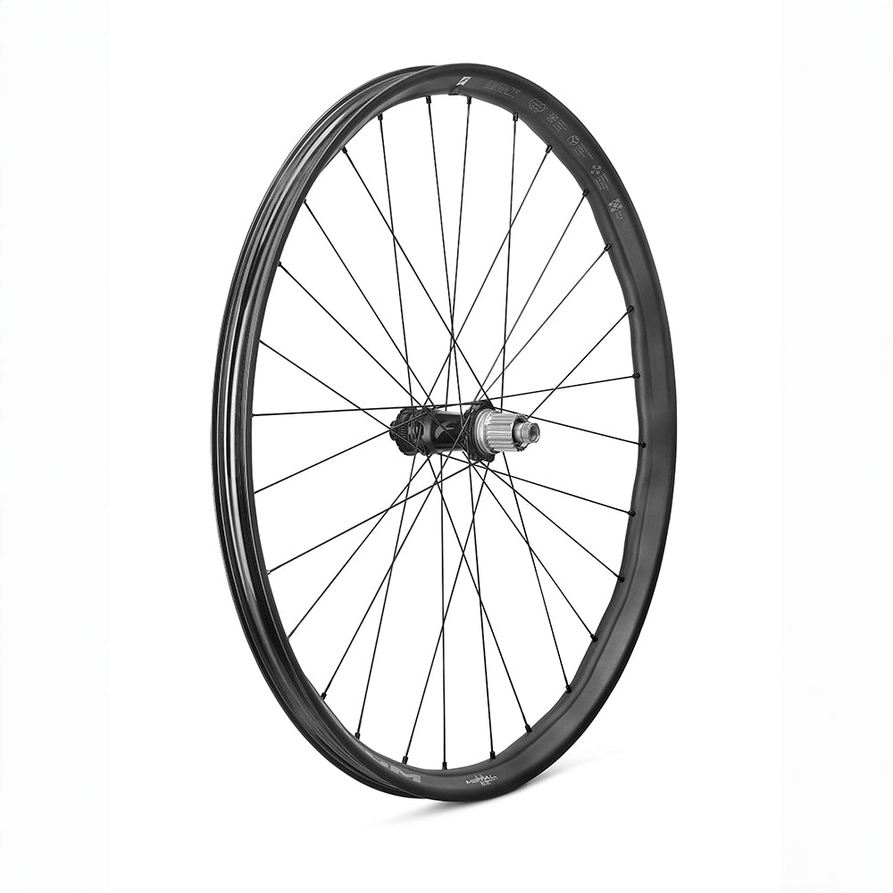 Paar FULCRUM METAAL CARBON 29" AFS BOOST XD 2WF wielen
