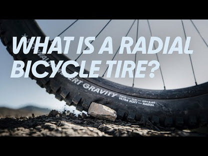 Pneu SCHWALBE ALBERT 27.5x2.50 TRAIL PRO ADDIX ULTRASOFT RADIAL Tubeless Ready Souple