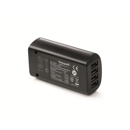 Lader voor batterij CAMPAGNOLO SUPER RECORD WRL 12-13V AC23-BCWRL