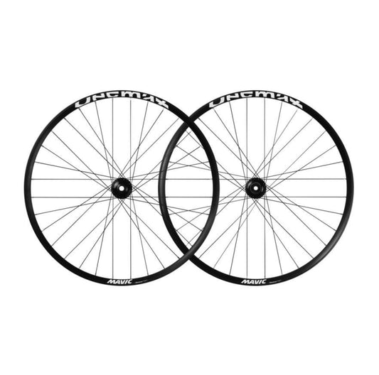 Paar MAVIC DEEMAX PARK 26" wielen 20x110mm/12x142mm Boost