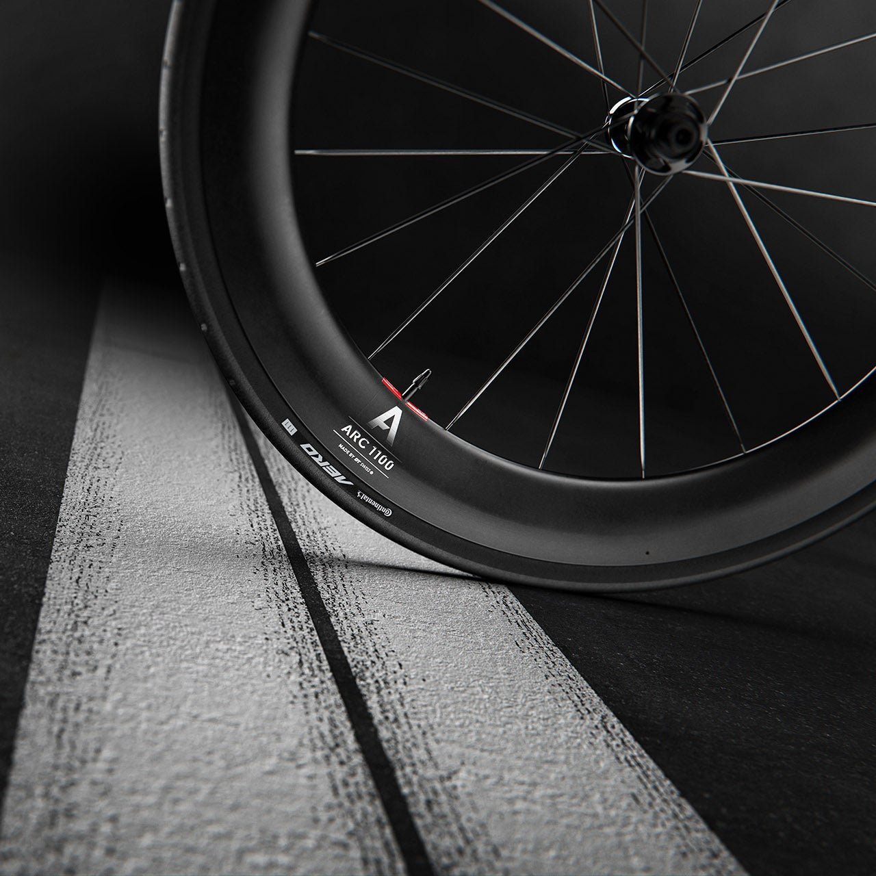 Paire de Roues DT SWISS ARC 1100 DICUT WTS 55 Tubeless Ready (Center Lock)